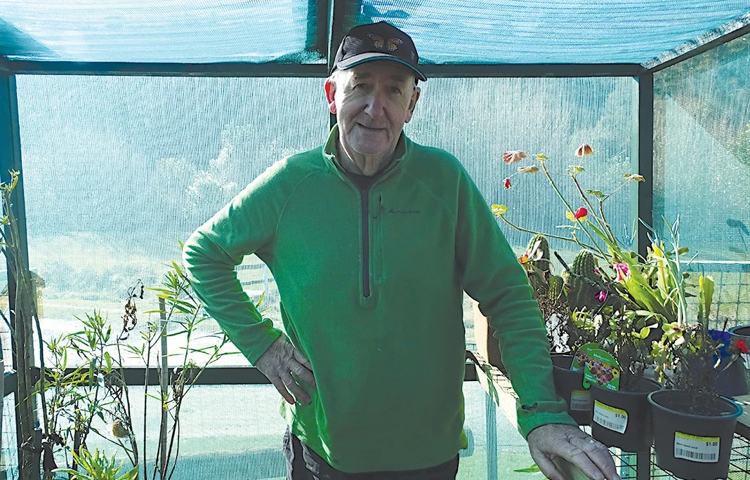Making a home for the monarch butterfly