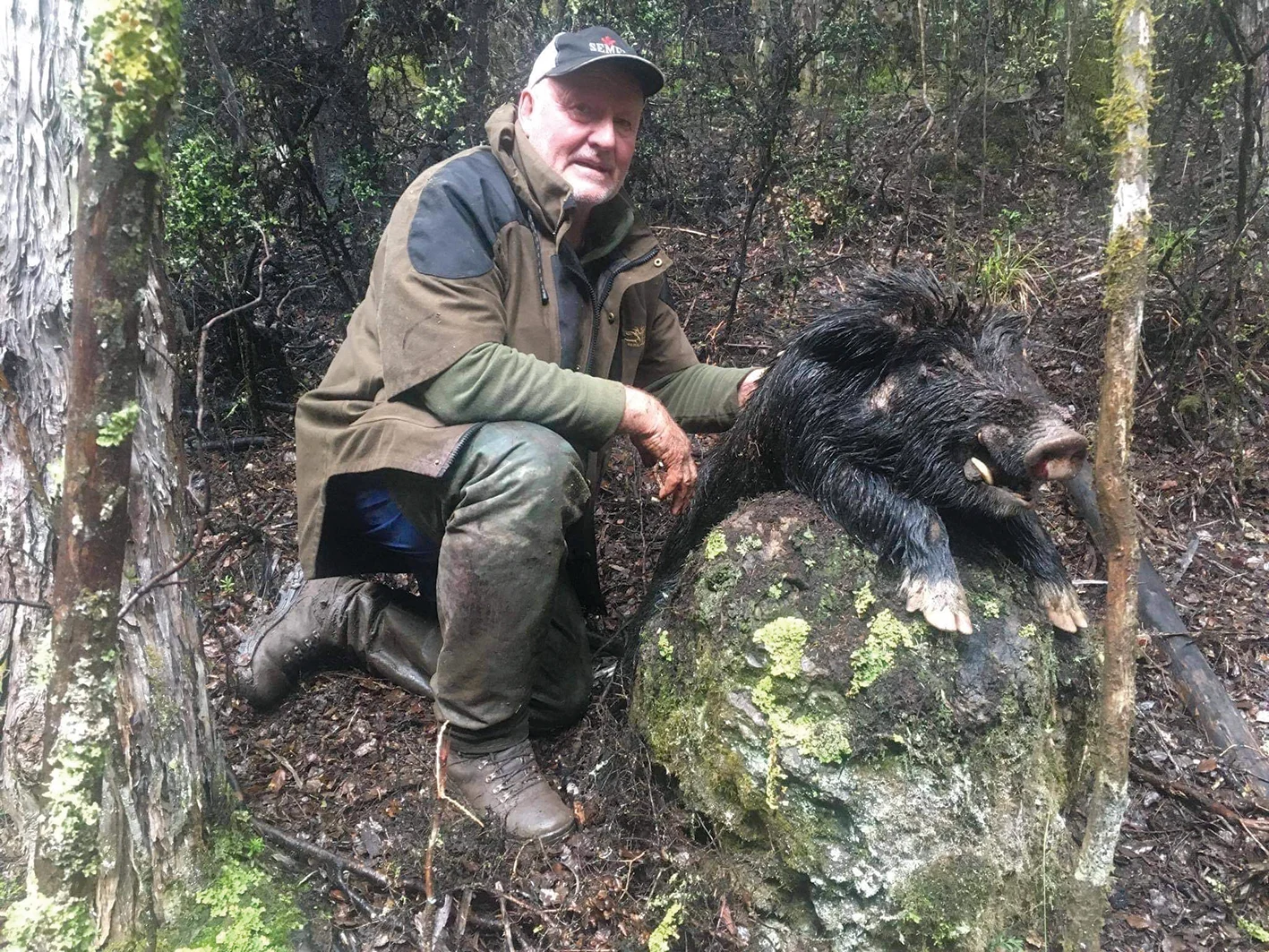 The tale of the Toey Blue Boar