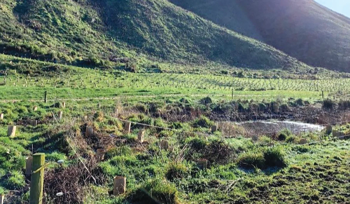 Accelerated the landowners’ planting aspirations