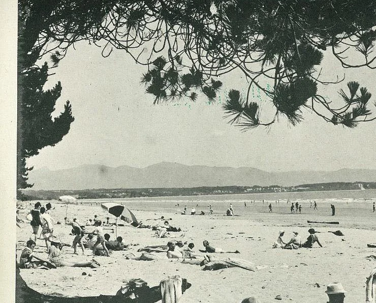 History: Tasman’s valuable Rabbit Island - Part 1