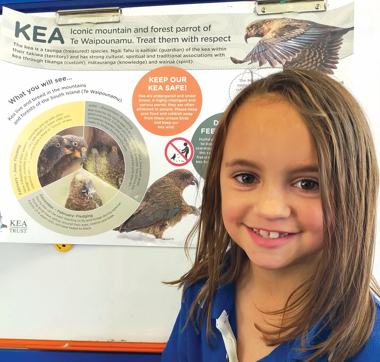 Inspiring students to protect our kea