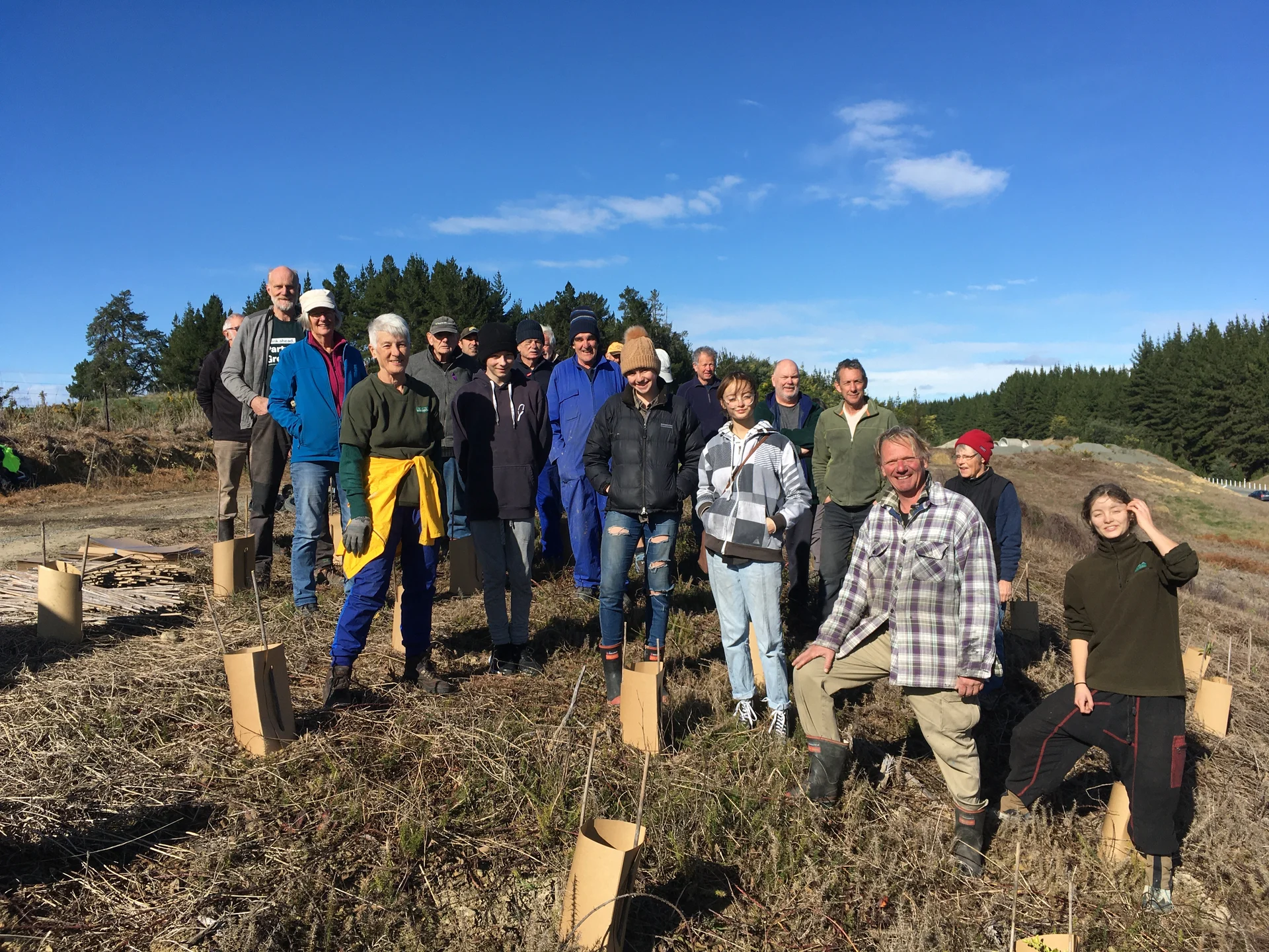 Te Mamaku Native Corridor Project selected for coronation planting