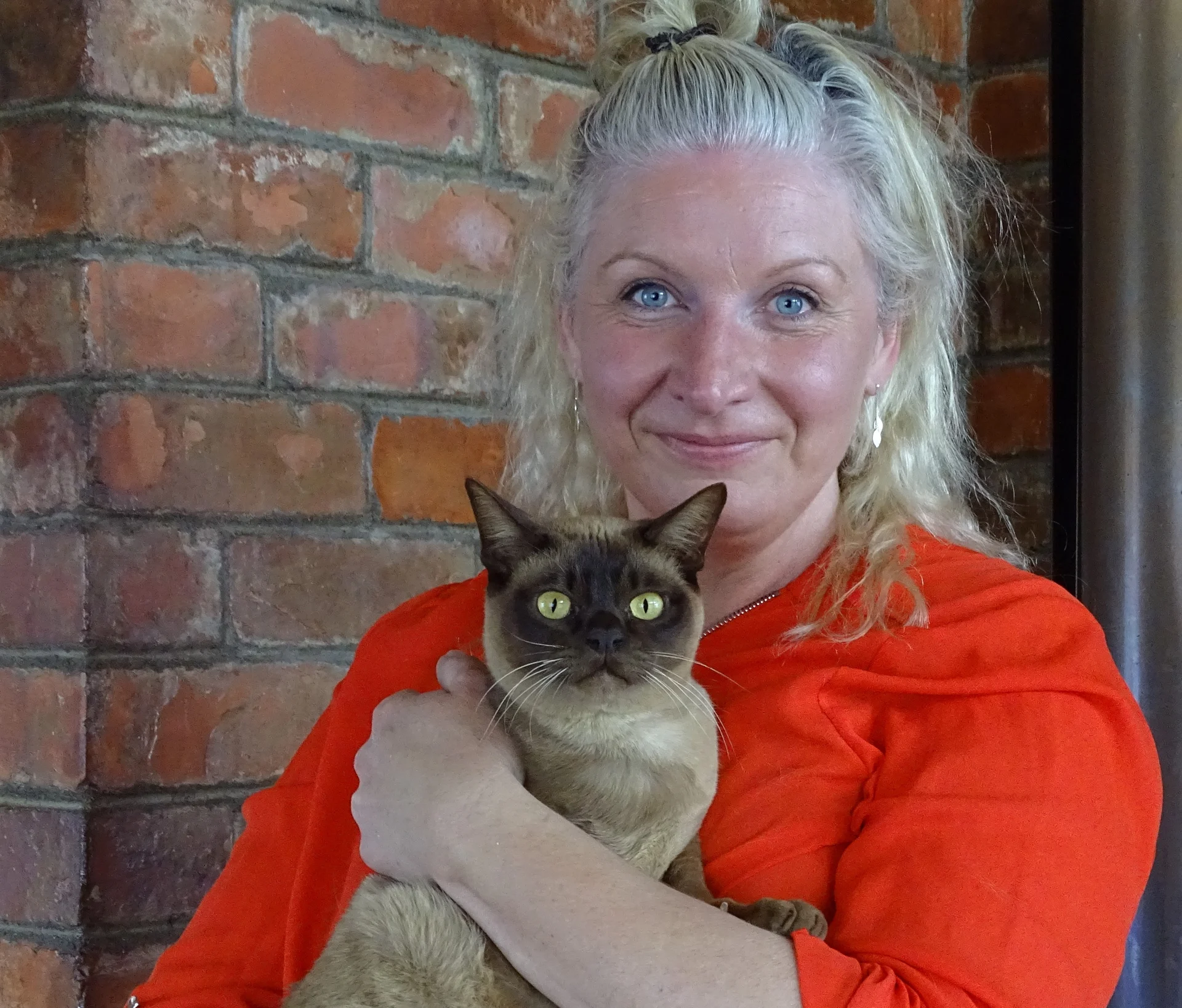 Tiny the cat found
