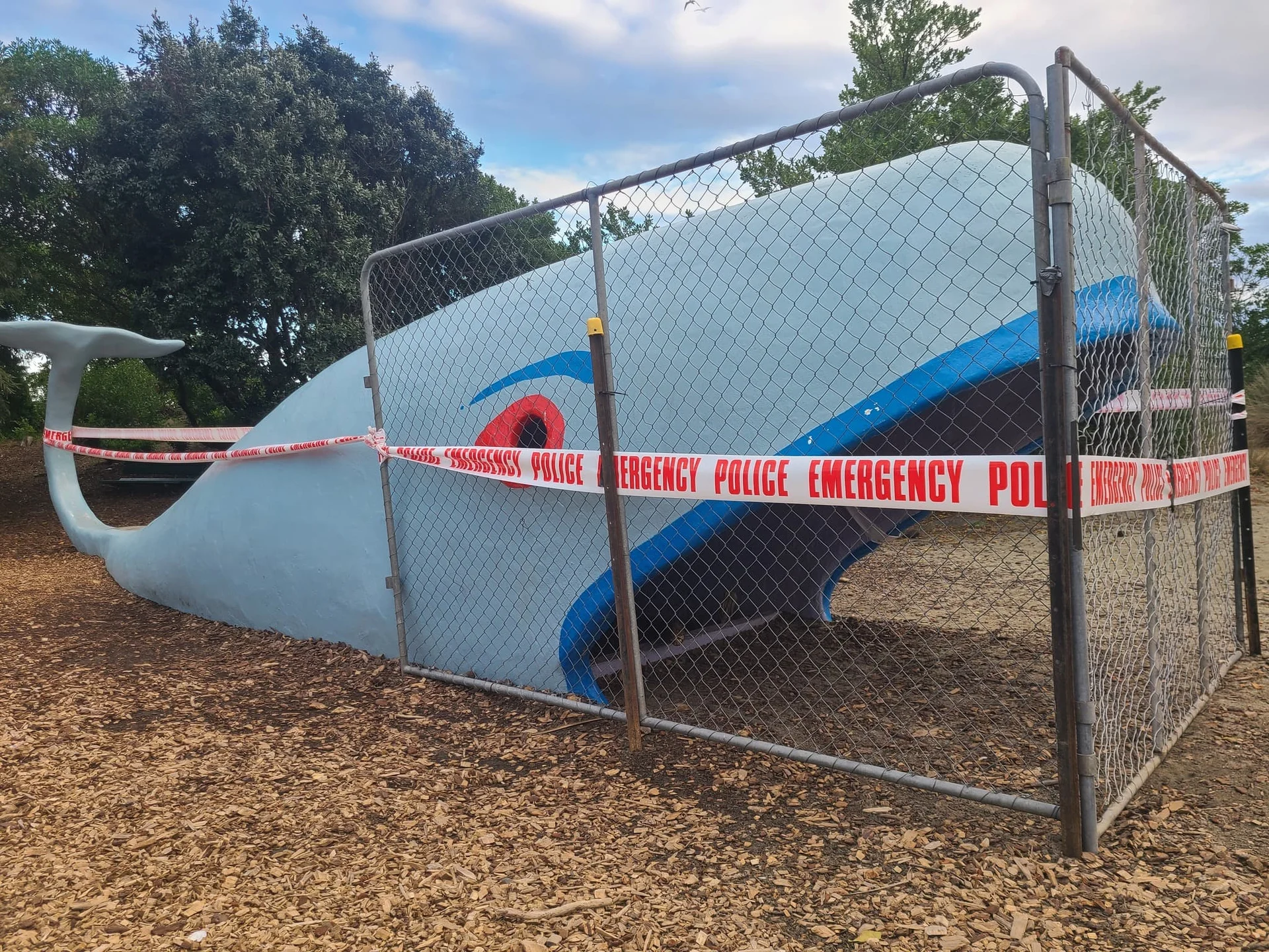 Whale safe for now following structural review of playground