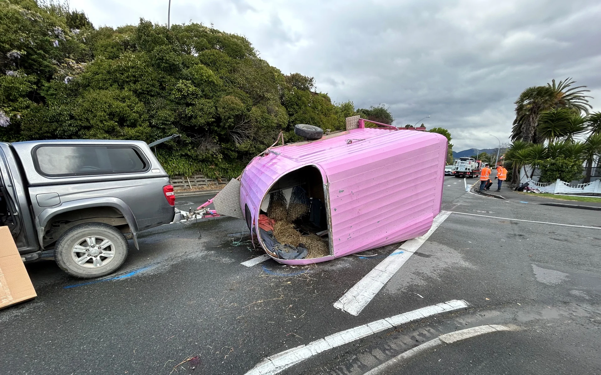 Horse float crash at Tāhunanui