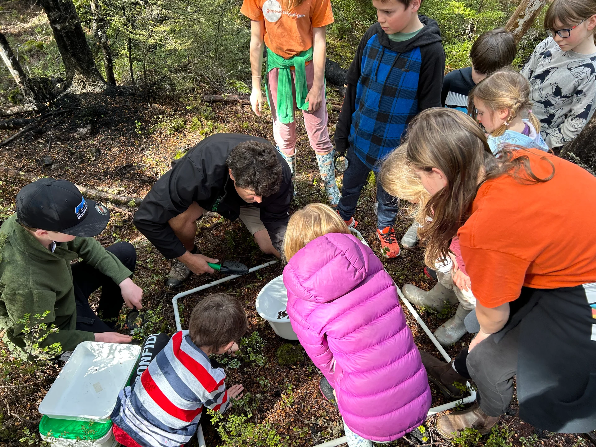 Lake Rotoiti students study the impact of wasps