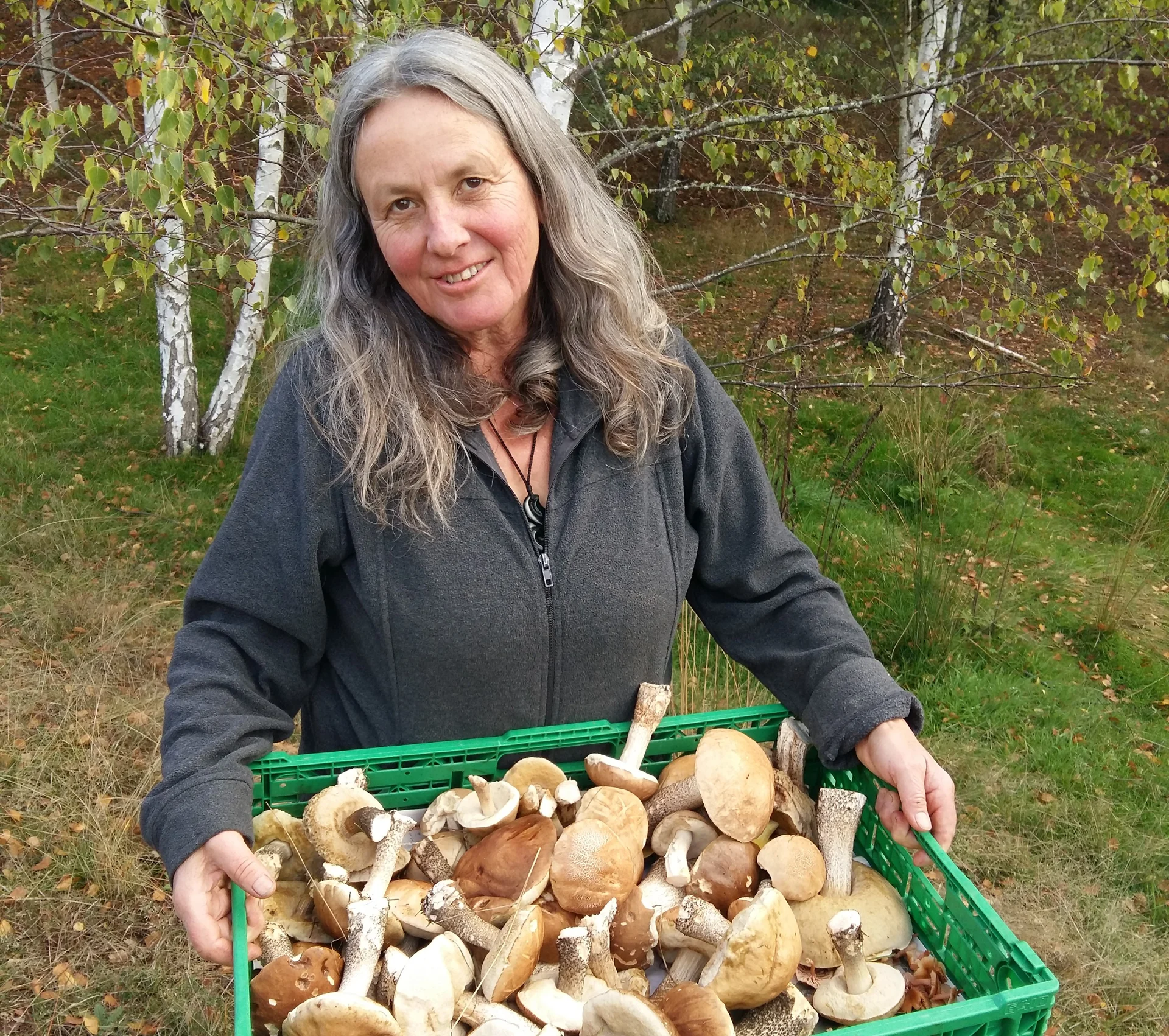 Growing a love for wild mushrooms