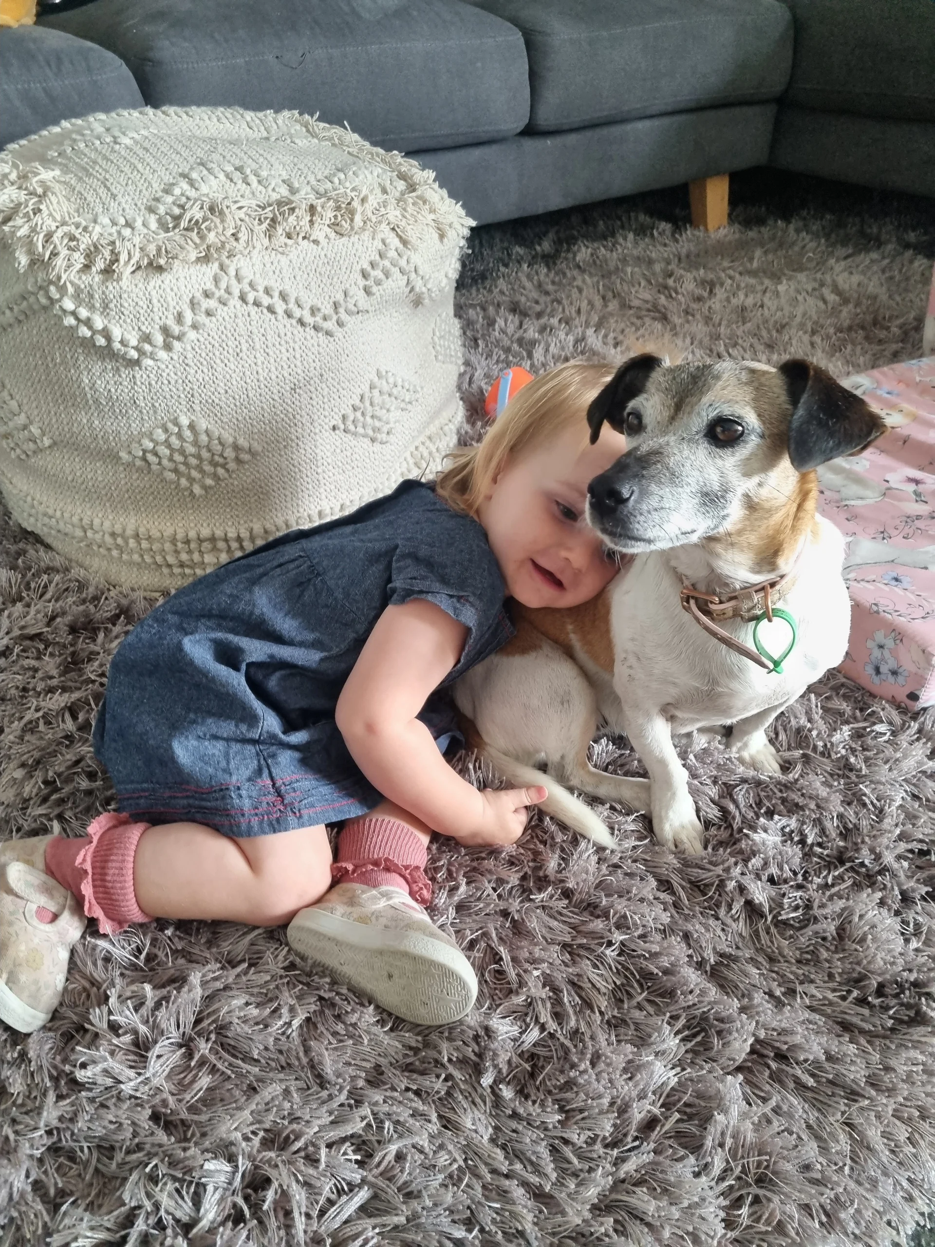 Keeping you and your dog together