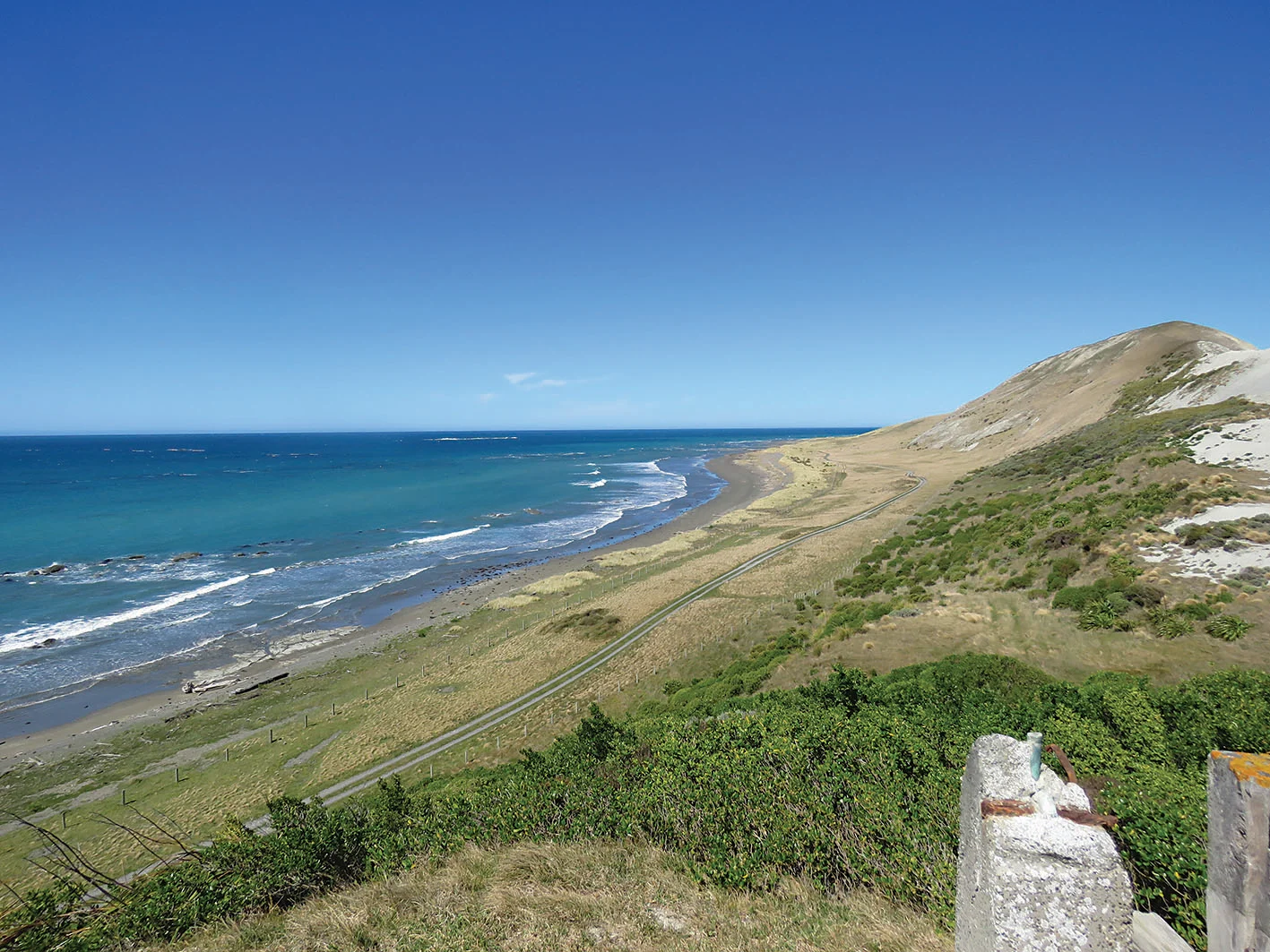 This coast needs protection