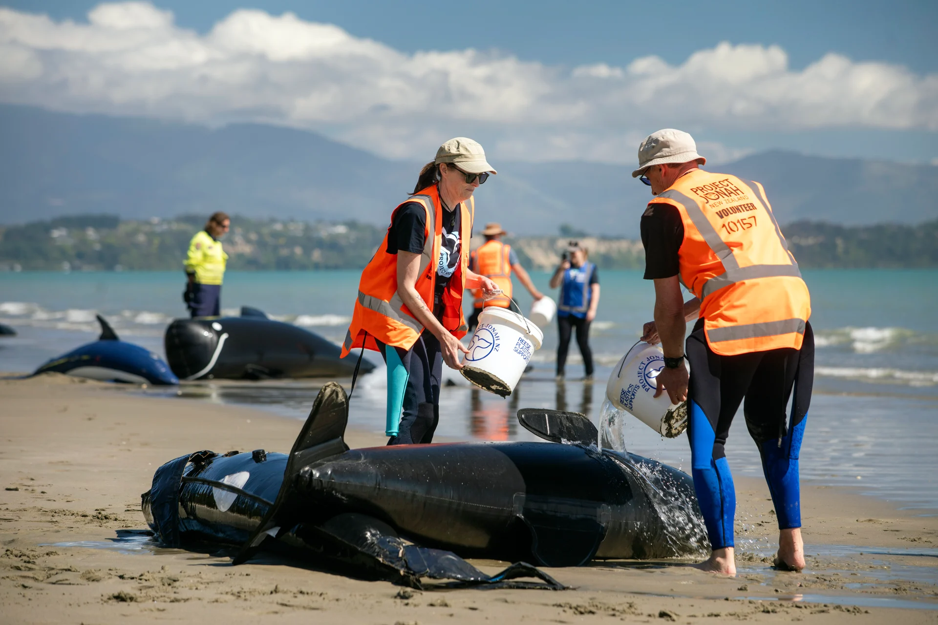 Mock mass stranding 
at Rabbit Island