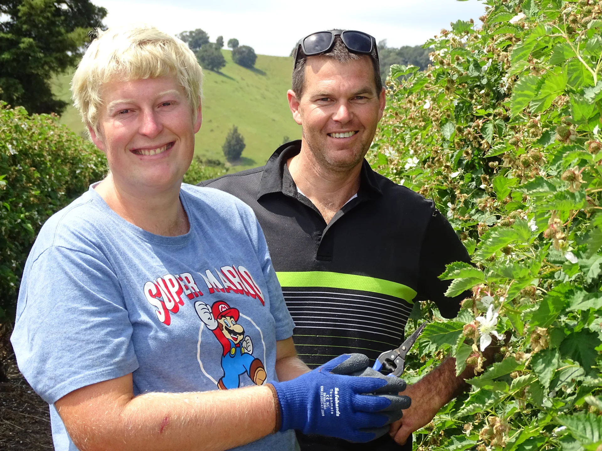 Berry farm ends desperate search for work