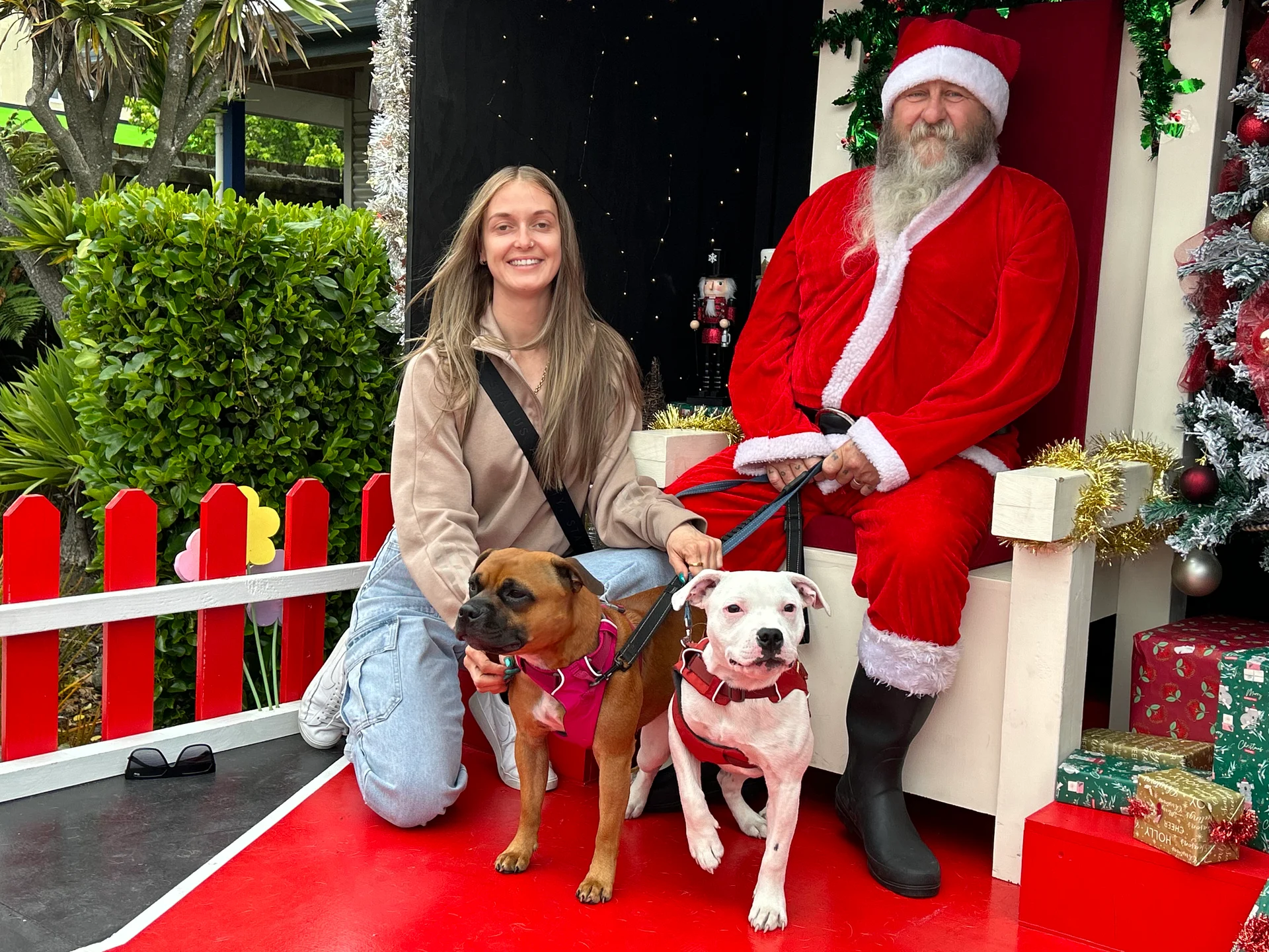 ‘Santa Paws’ visits Stoke Vets
