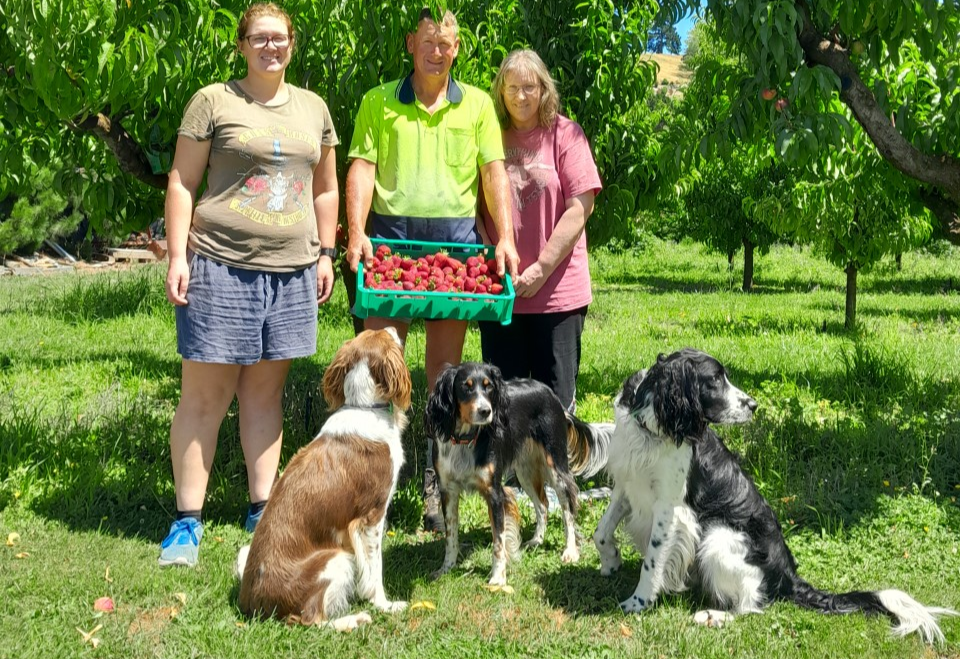 Changing challenges for orchardists