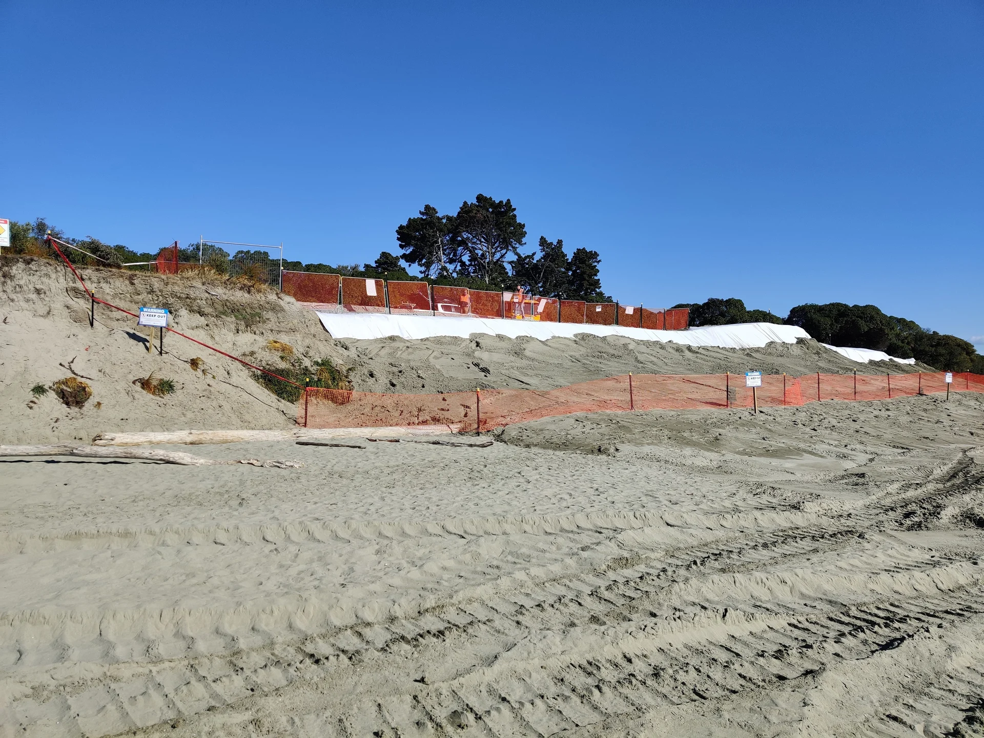 Toxic sawdust removal on track