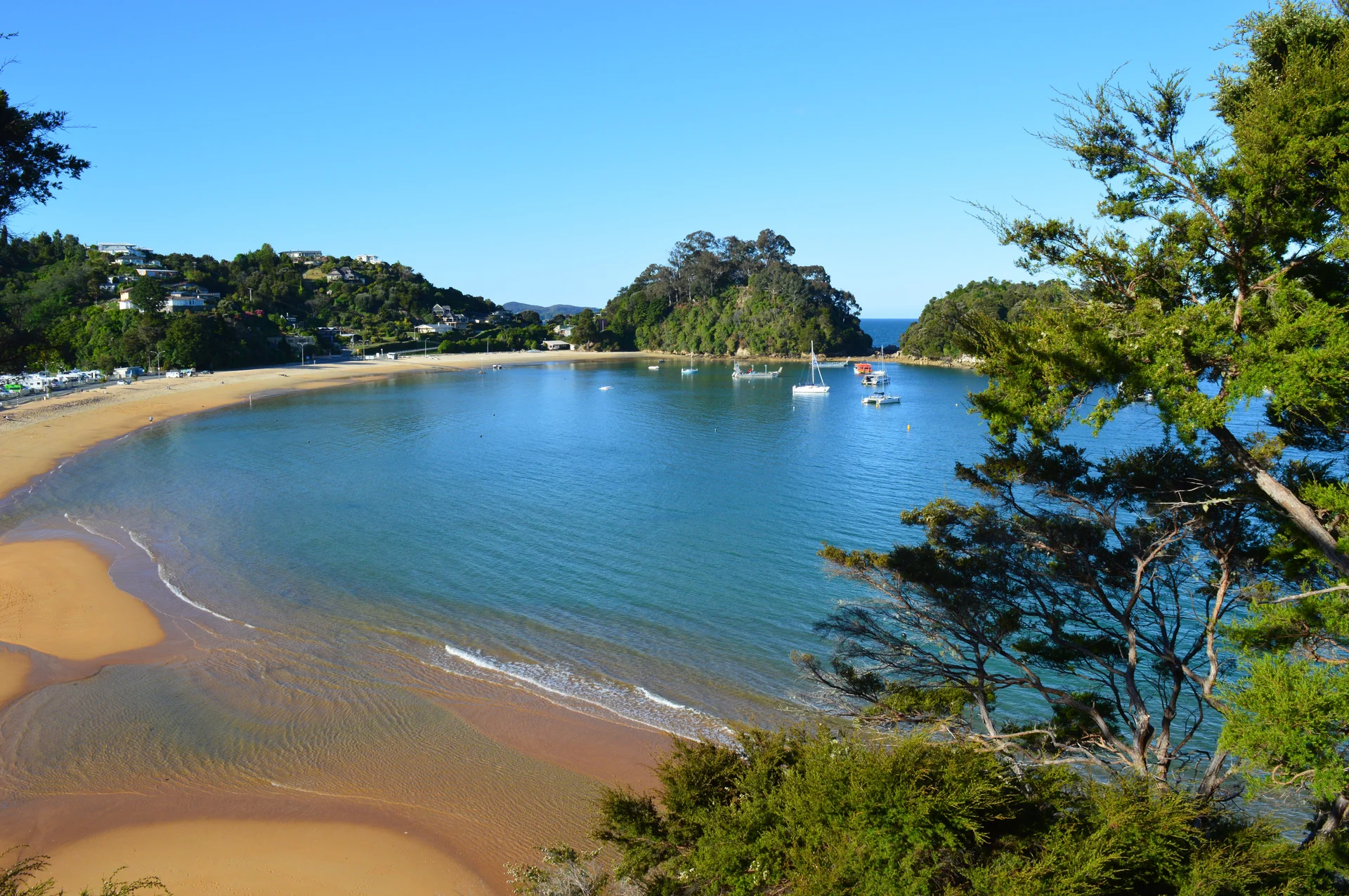 Bus service gets beach goers to Kaiteriteri