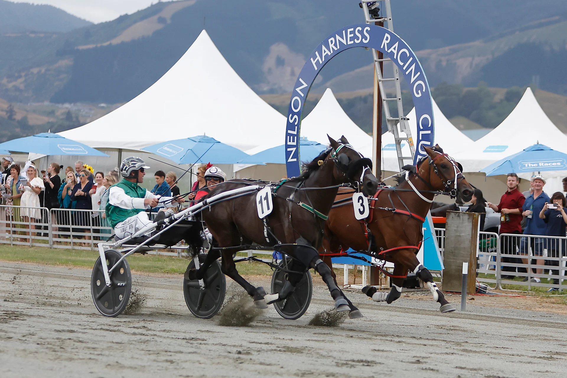 Harness racing gallops into action
