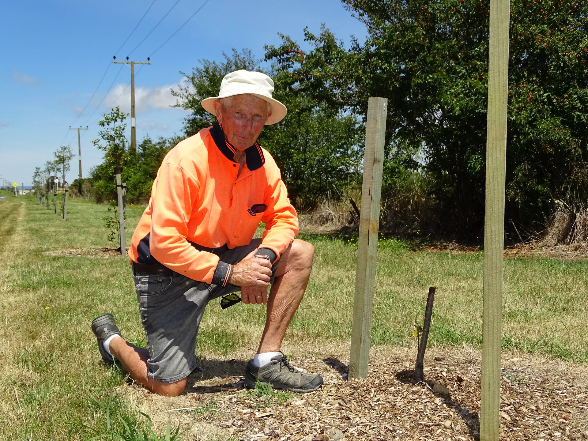 Cameras and posts to deter vandals