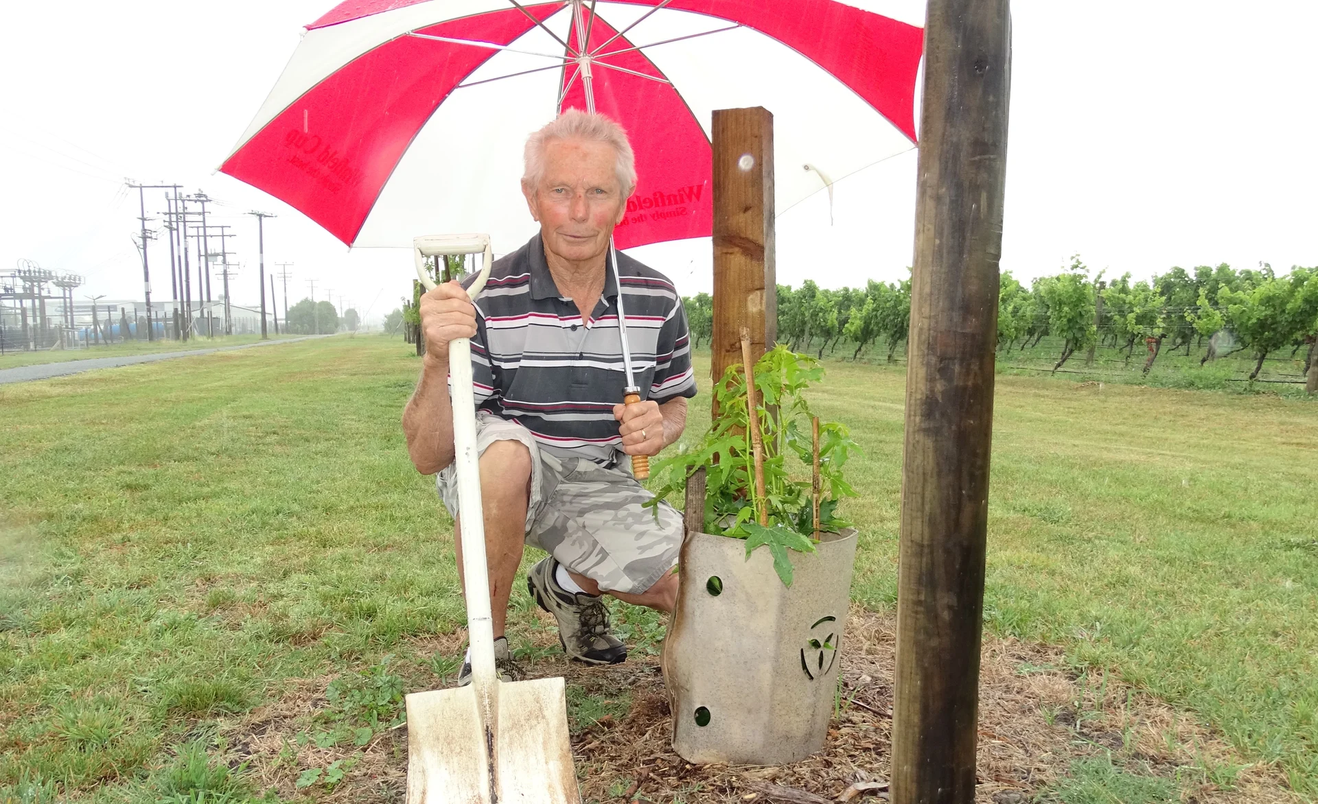 Community rallies for Roger’s trees