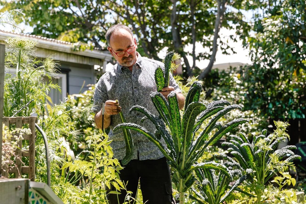 Urban farmers sprouting in Nelson