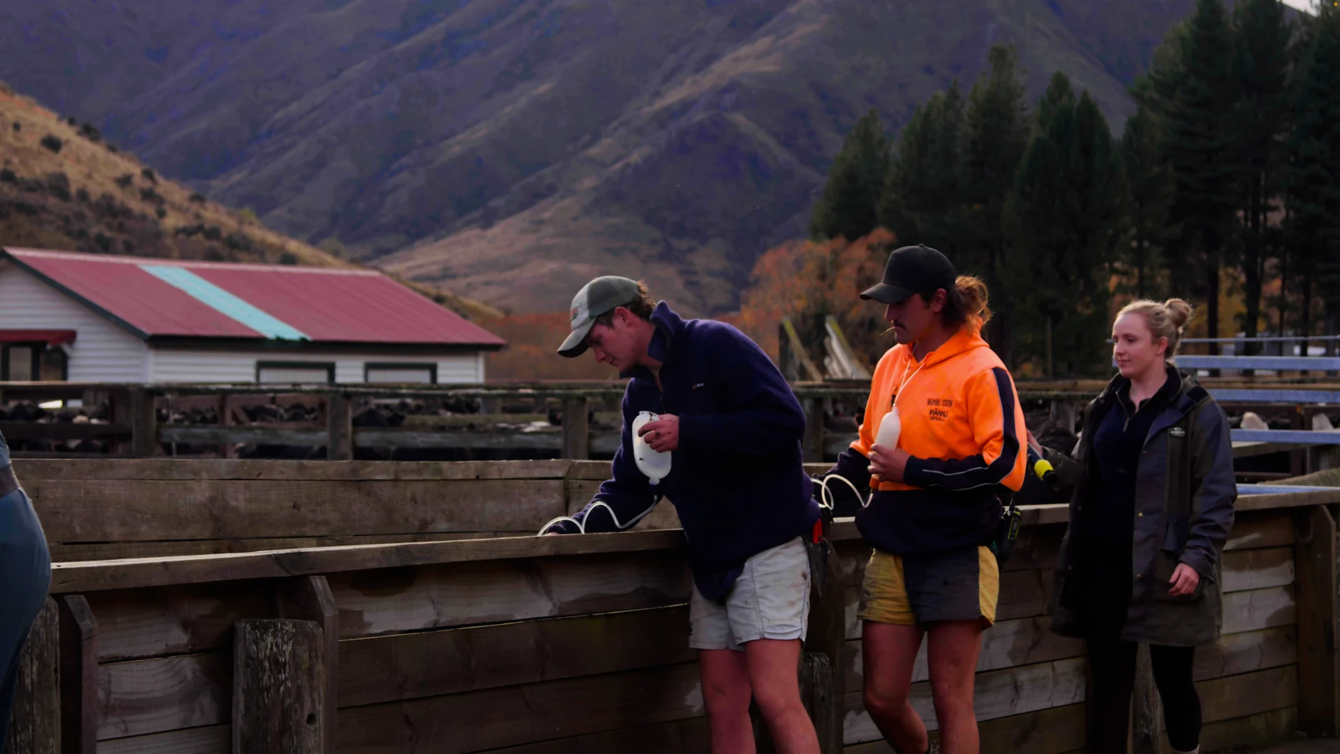 Progress with Molesworth
Station TB response