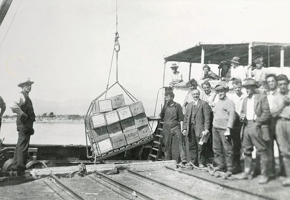 History: Tasman’s boom in fruit growing