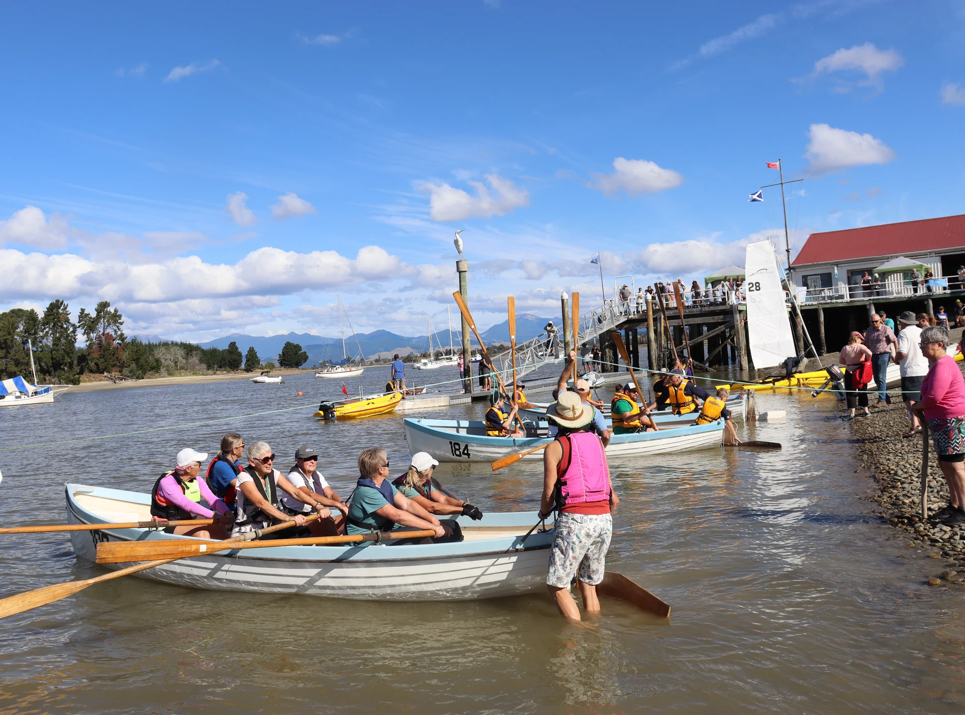 Little Americas Cup for Mapua Boat Club regatta