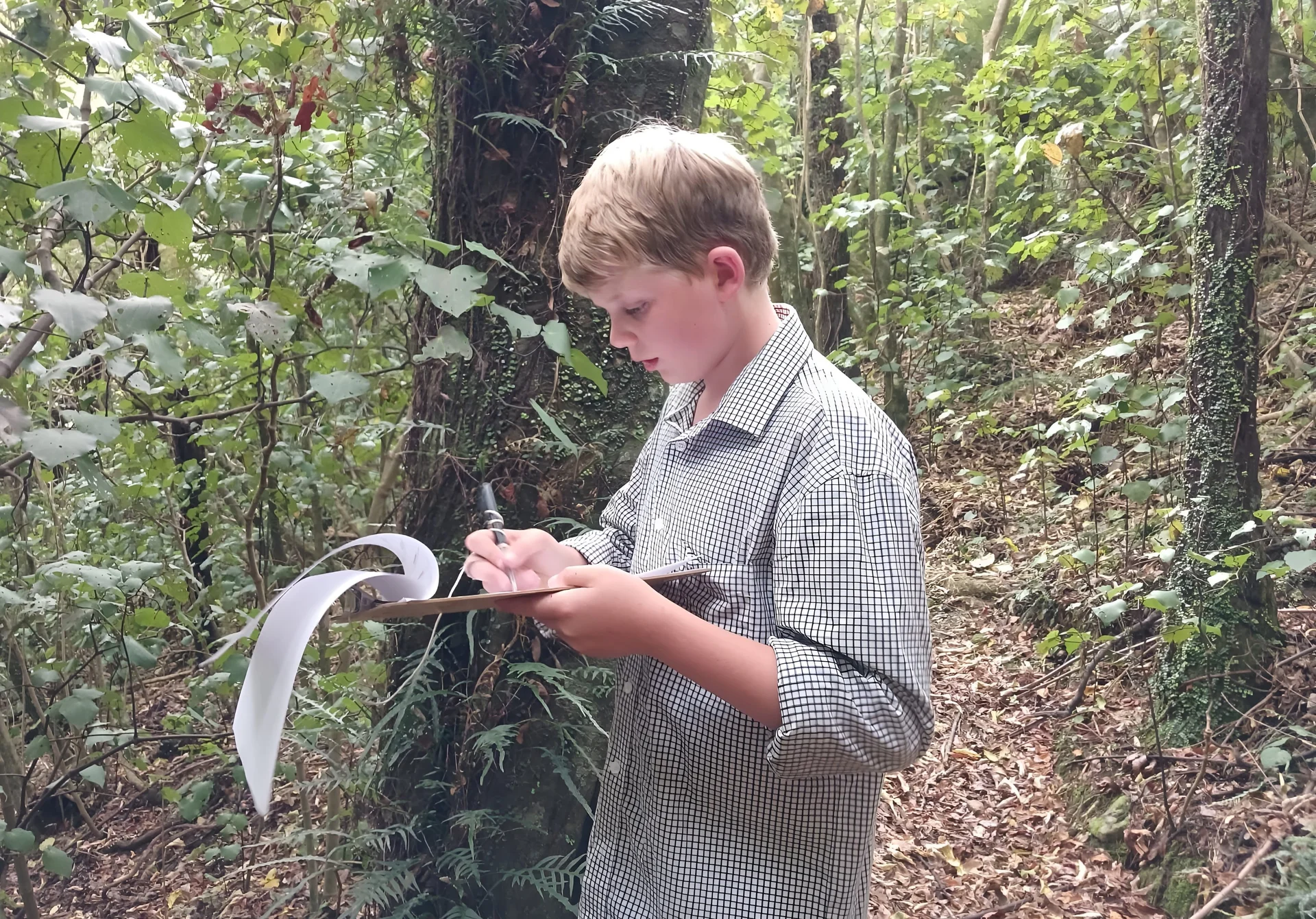 Forest orienteering course branches out