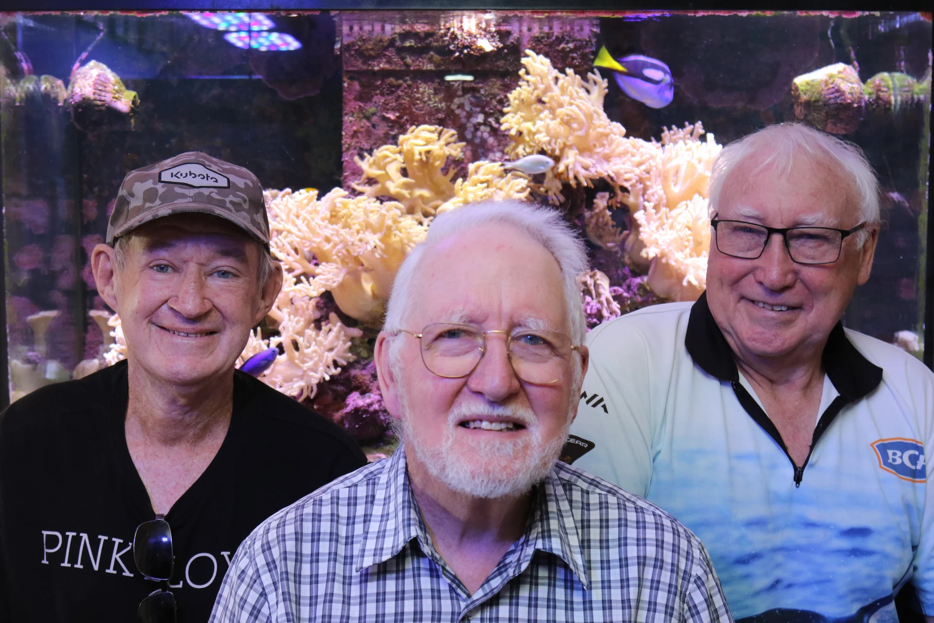 Underwater world alive in Tasman homes