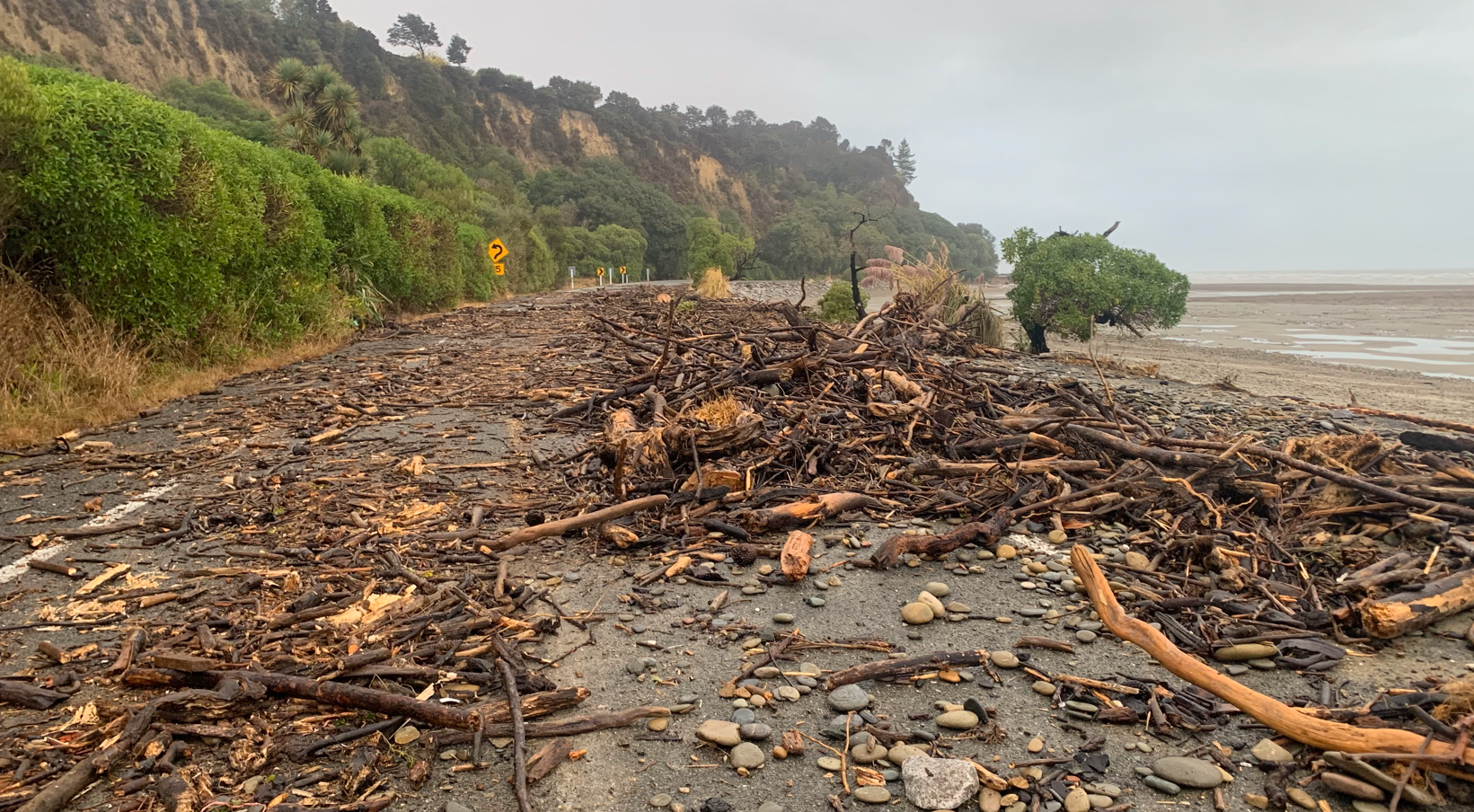Logs strewn over Ruby Bay road