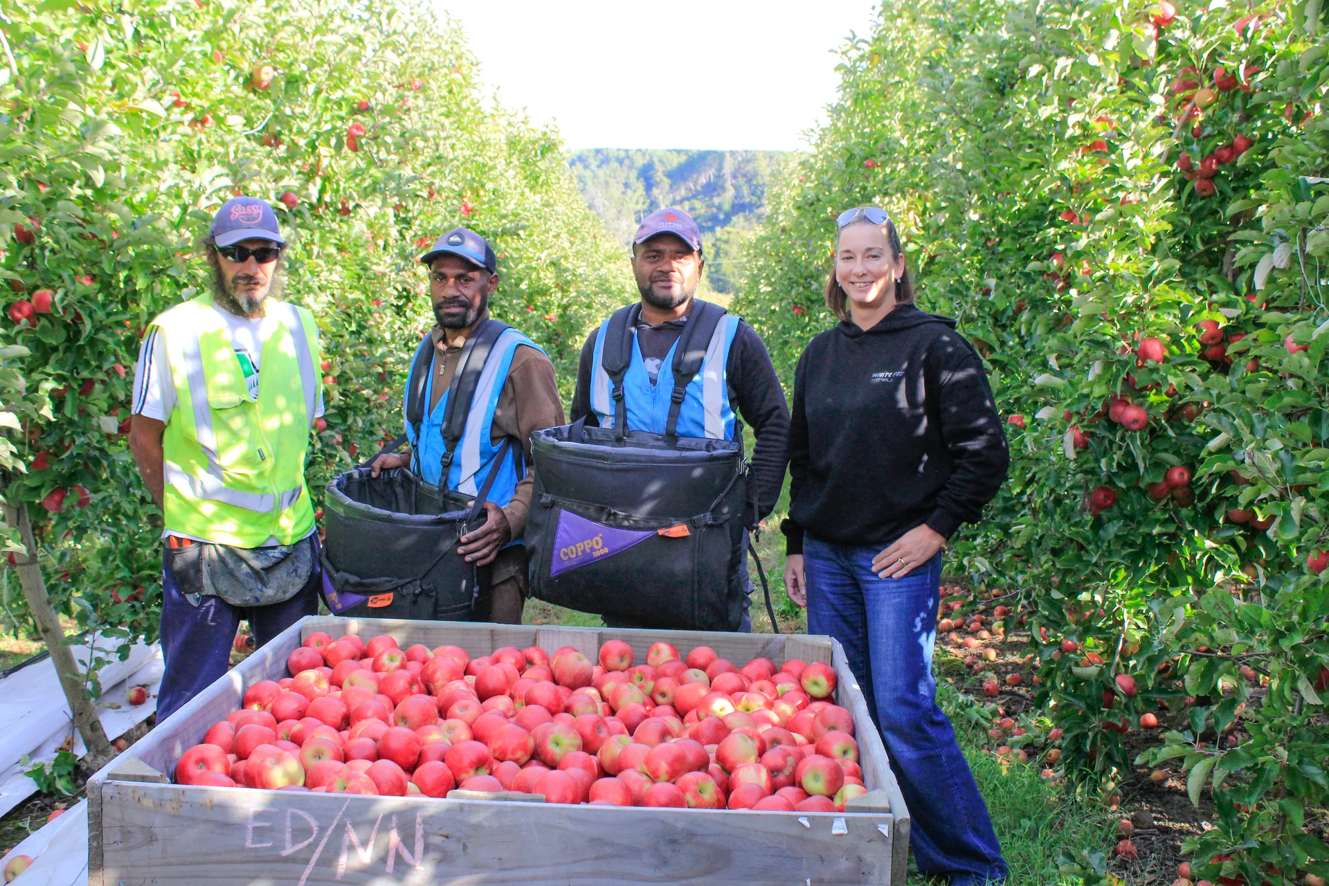 SPONSORED POST: Celebrating 17 years in the District