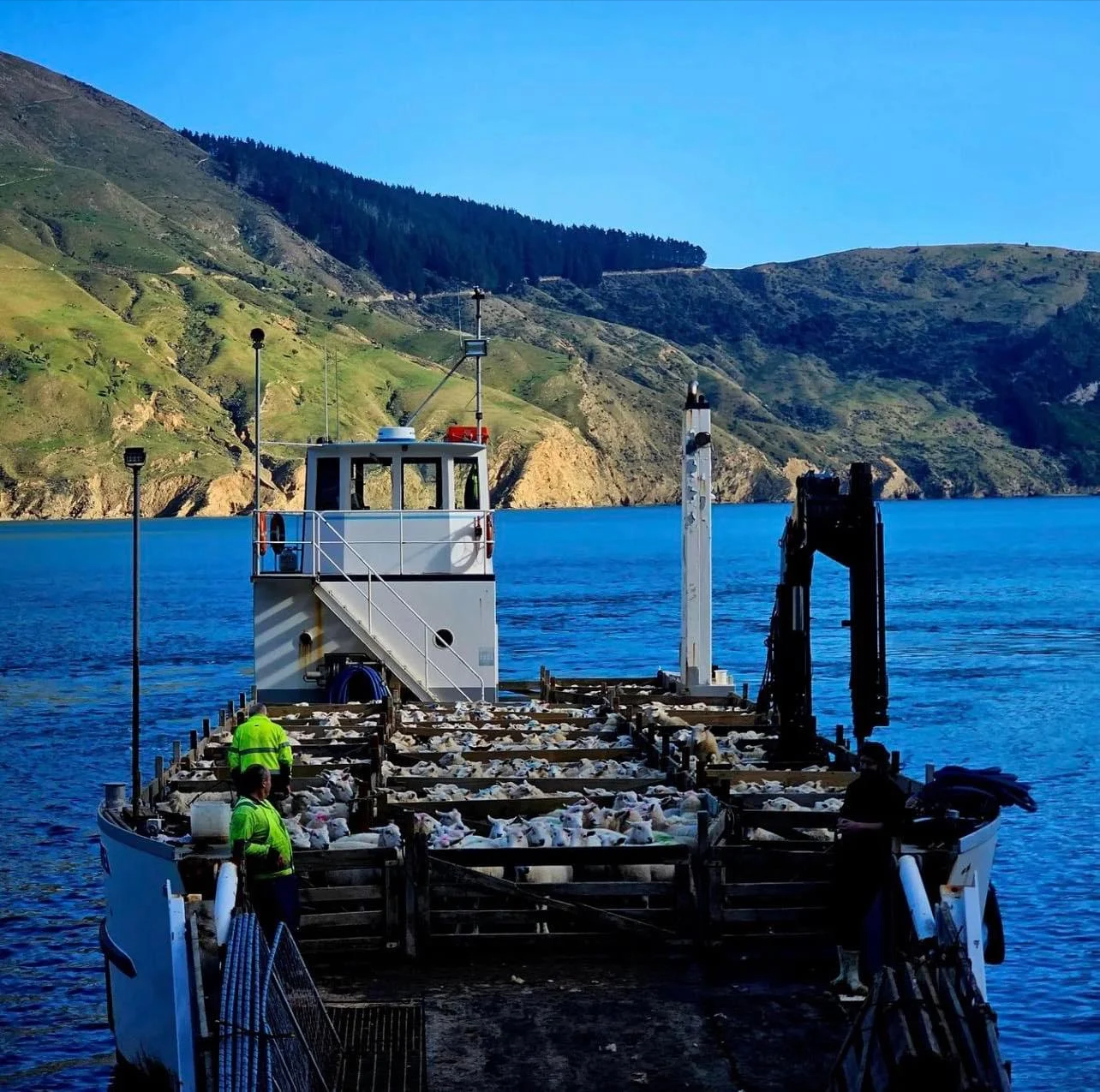 Transporting livestock with water-only access