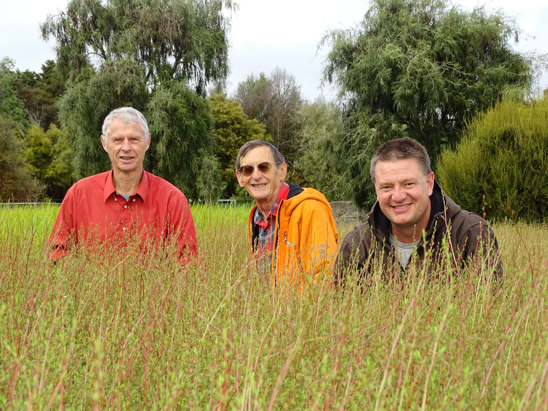 More trees for Richmond hills