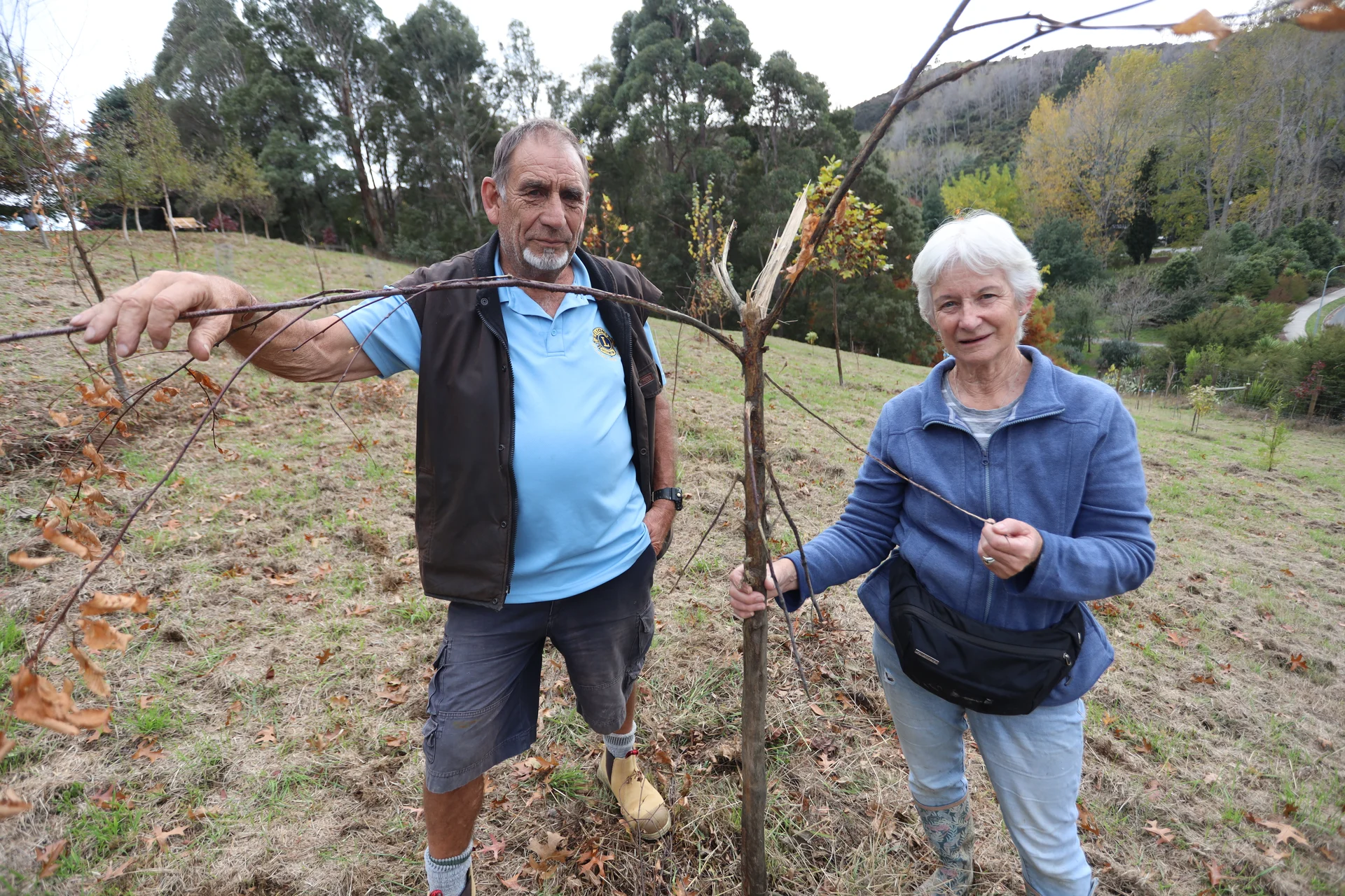Lions uproar for project protection