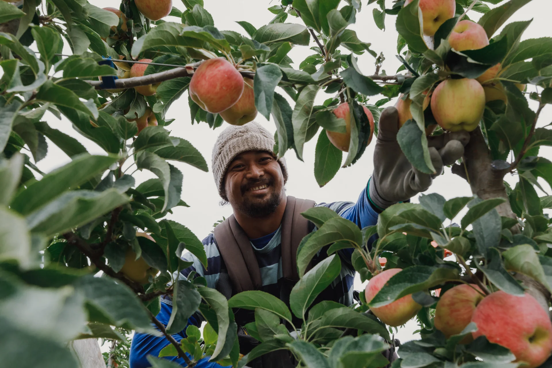 Embracing the bounty of harvest season