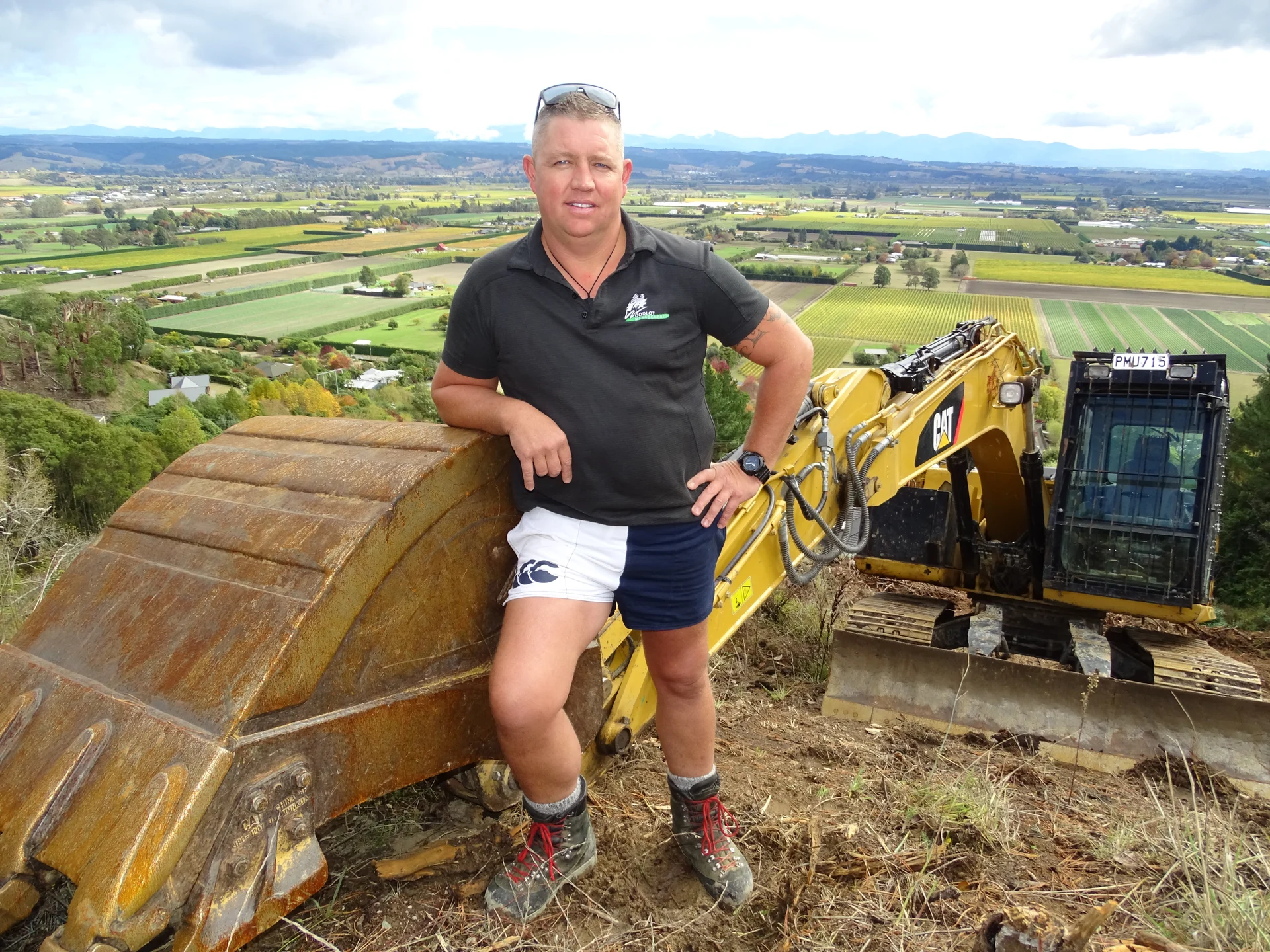 Forestry woes cause domino effect