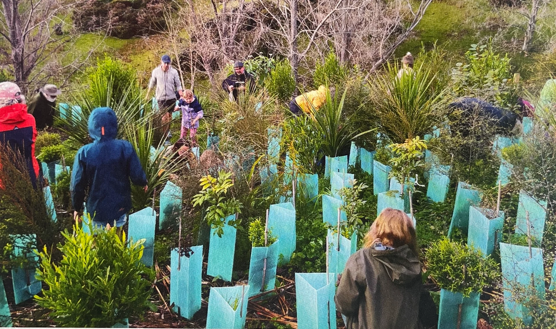 Climate action festival well grounded