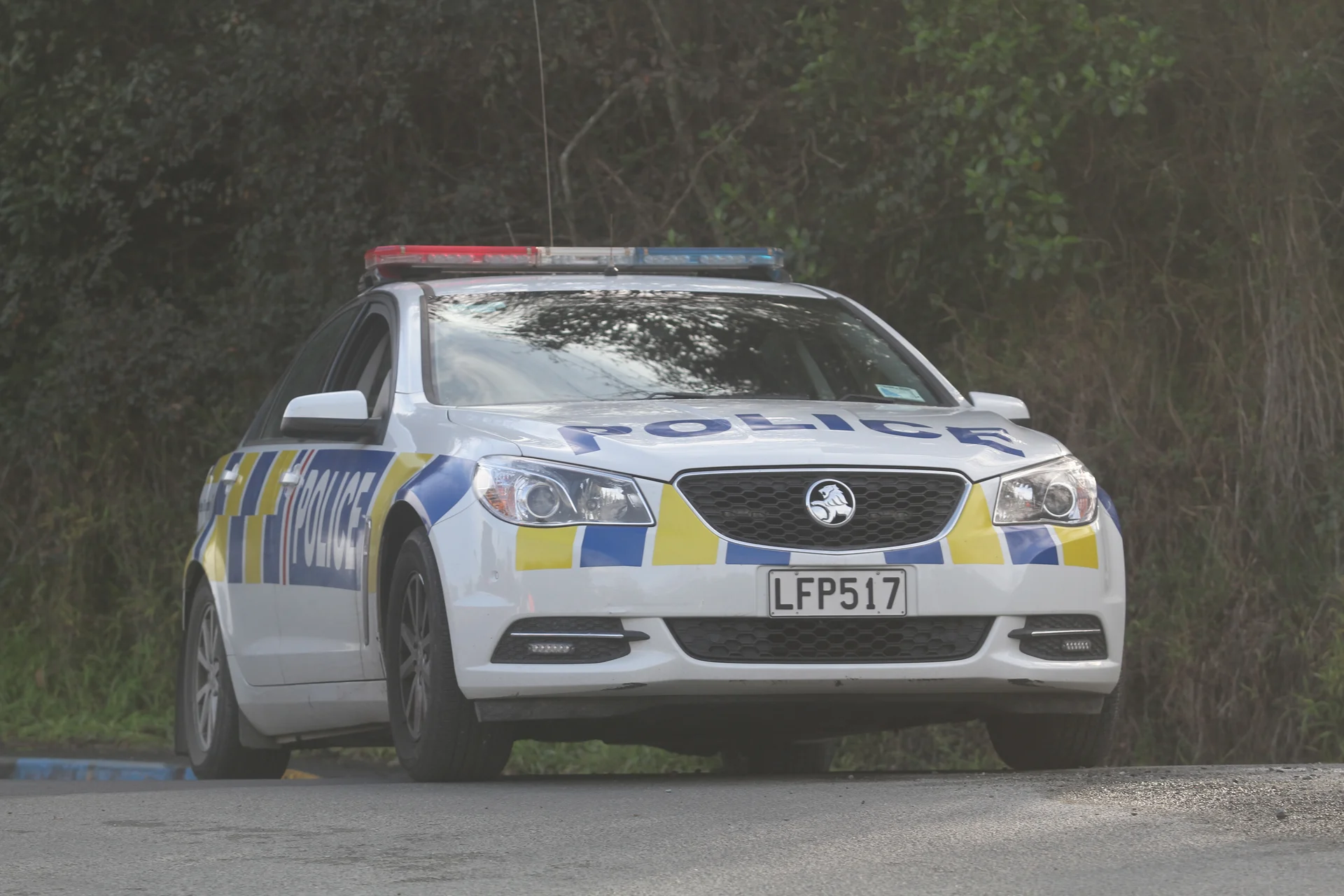 Police urge Lower Moutere hit-and-run information