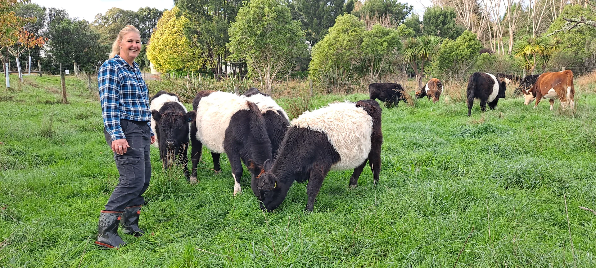 Call to stop relocating wild pigs