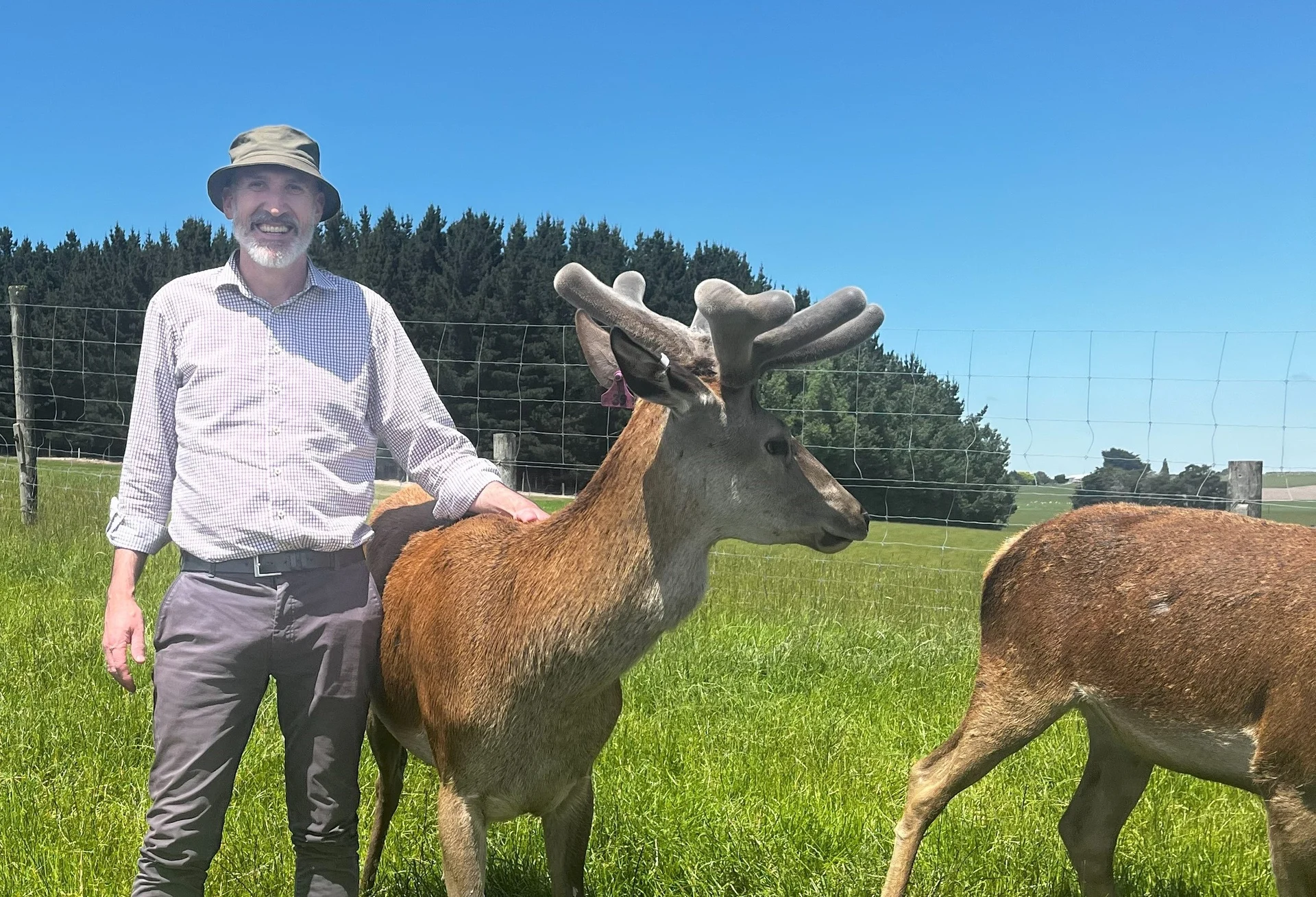 Deer disease means NZ must be vigilant
