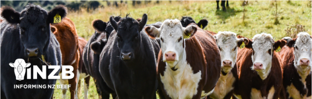 More commercial beef farmers join genetics programme