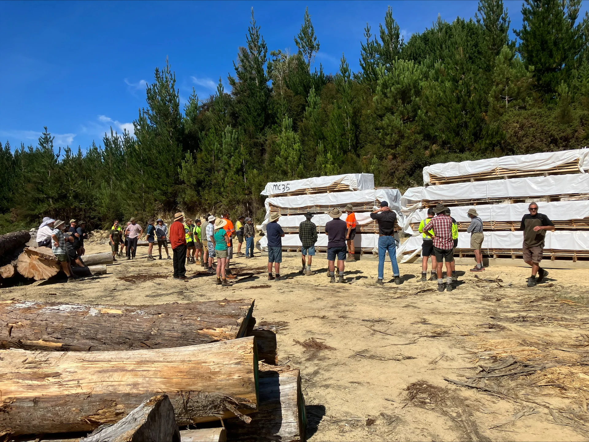 Field day for foresters and sawmillers