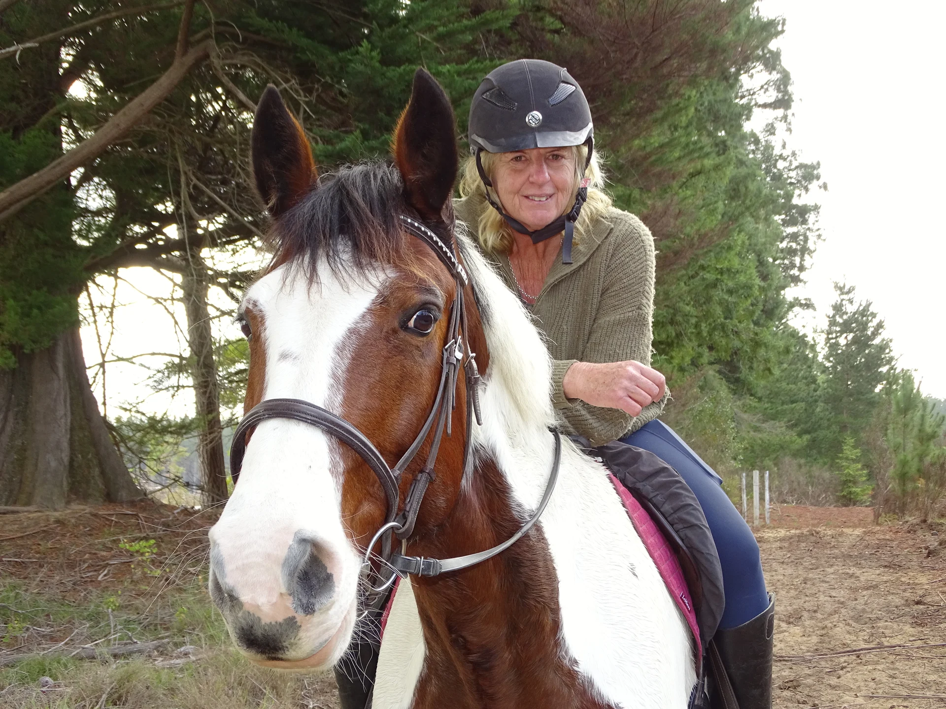 Riders saddle up for new forest trail