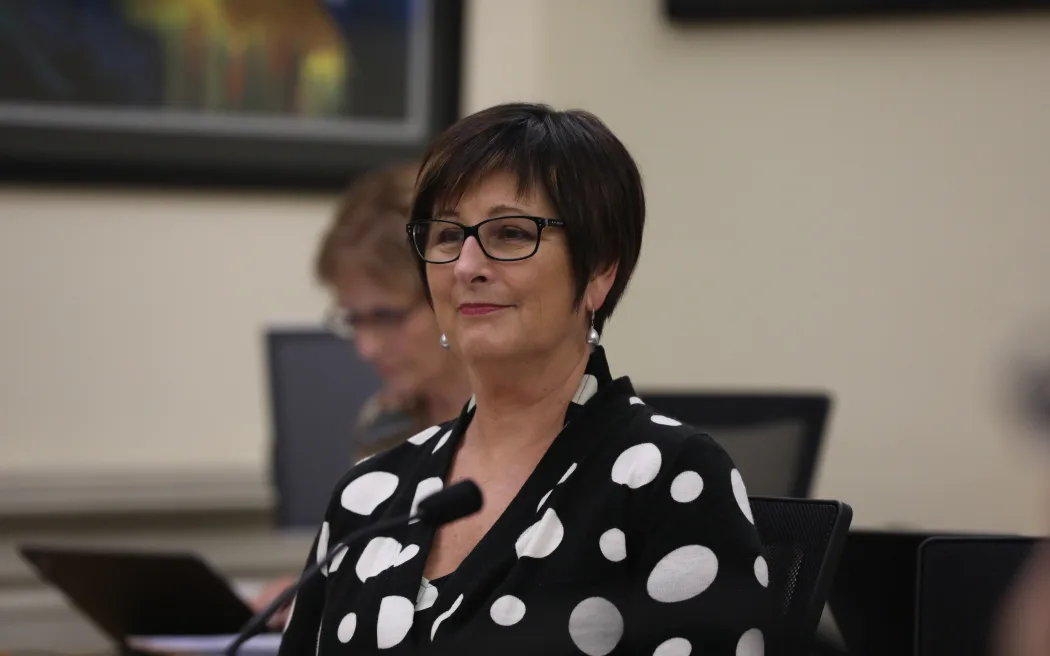Maureen Pugh allegedly assaulted during anti-mining protest in Tākaka