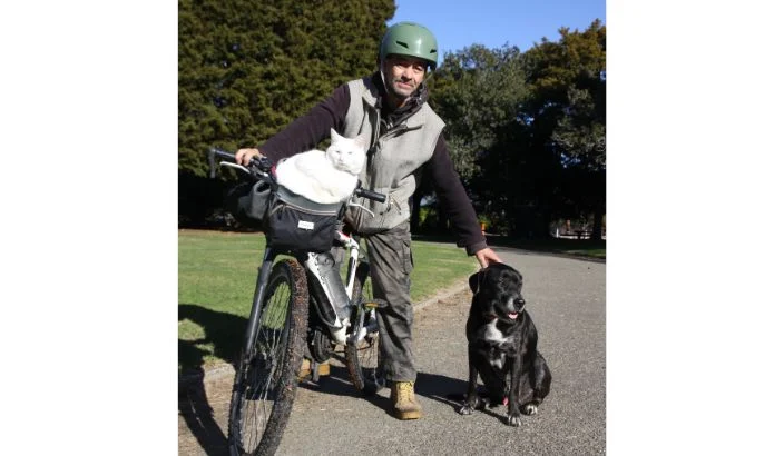 Cat on board, dog in tow