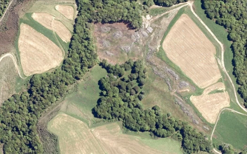 Maruia farmer fined $98k for illegally cutting down native forest