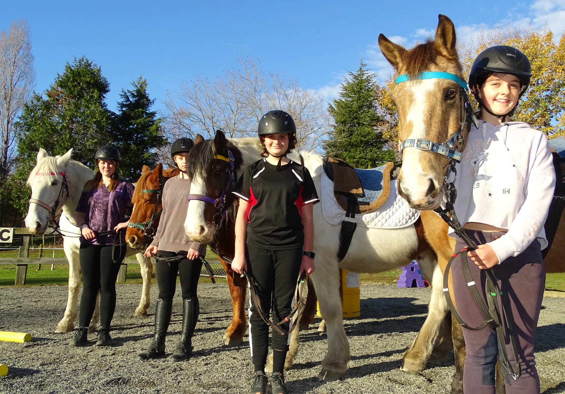 Help RDA with horses and poo