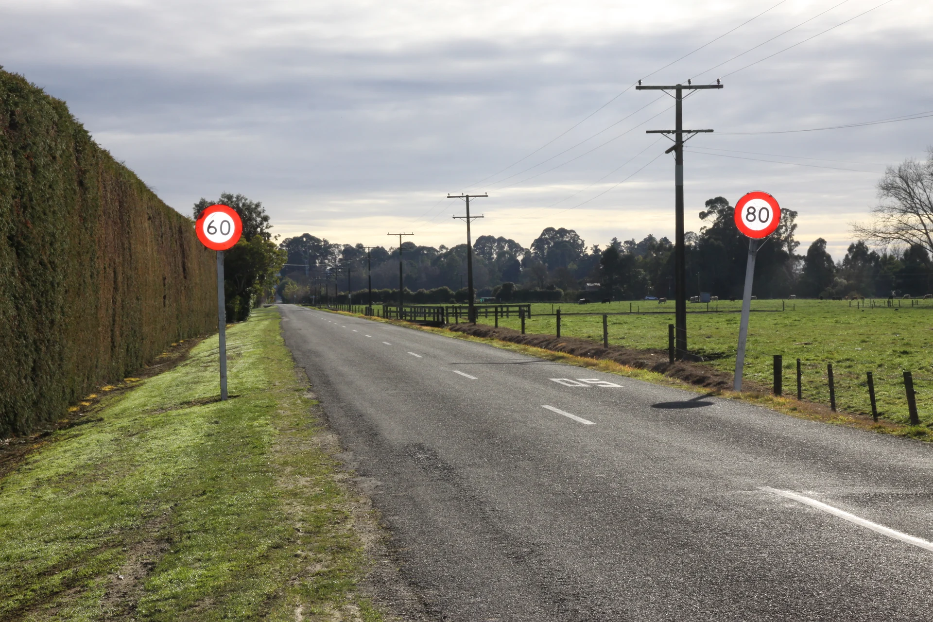 ‘Dangerous dimwit’ destroys signs across region
