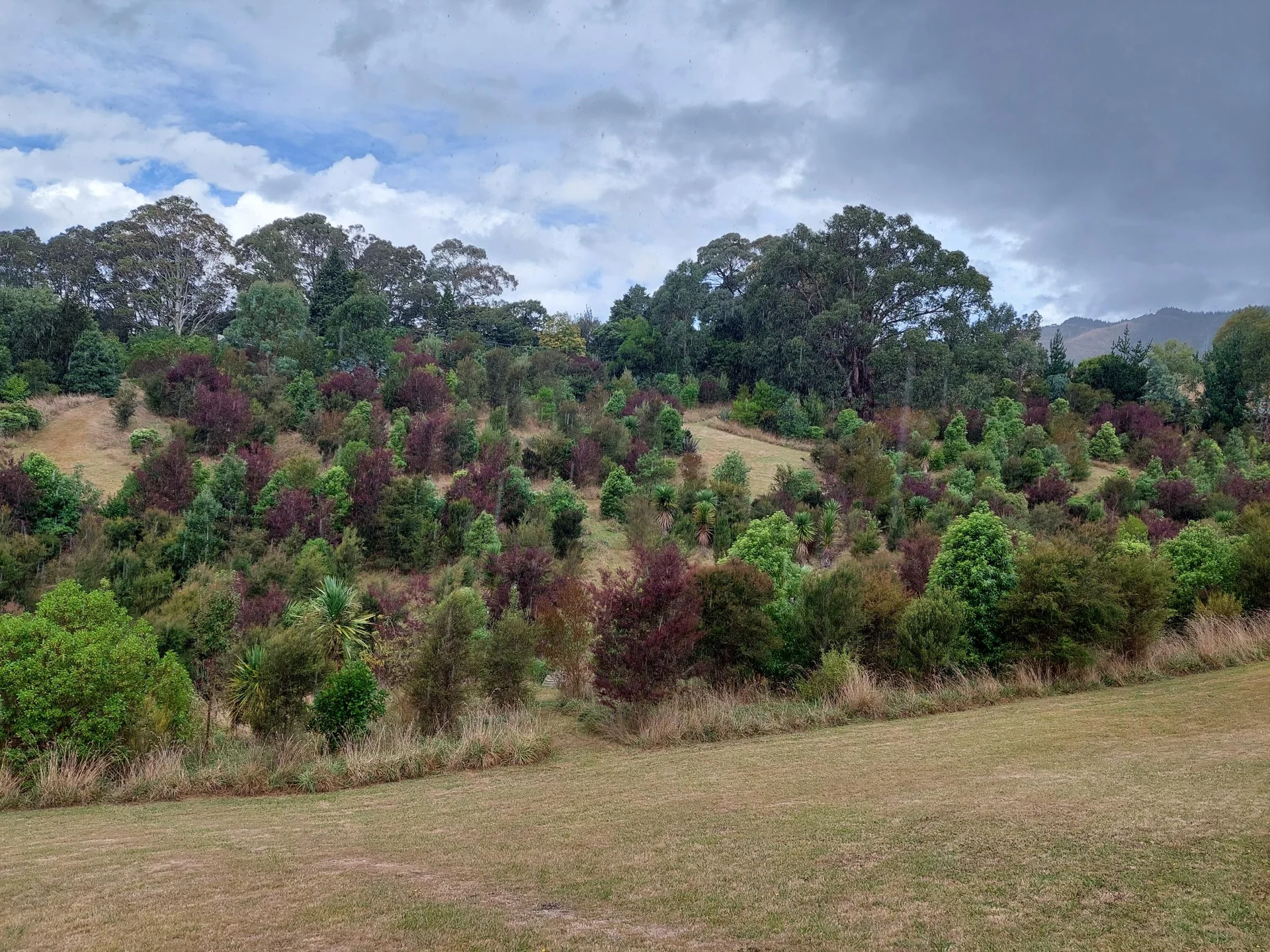 New 5ha reserve for Richmond