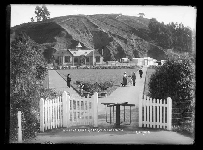 History: Anzac Park, from dumpsite to garden reserve