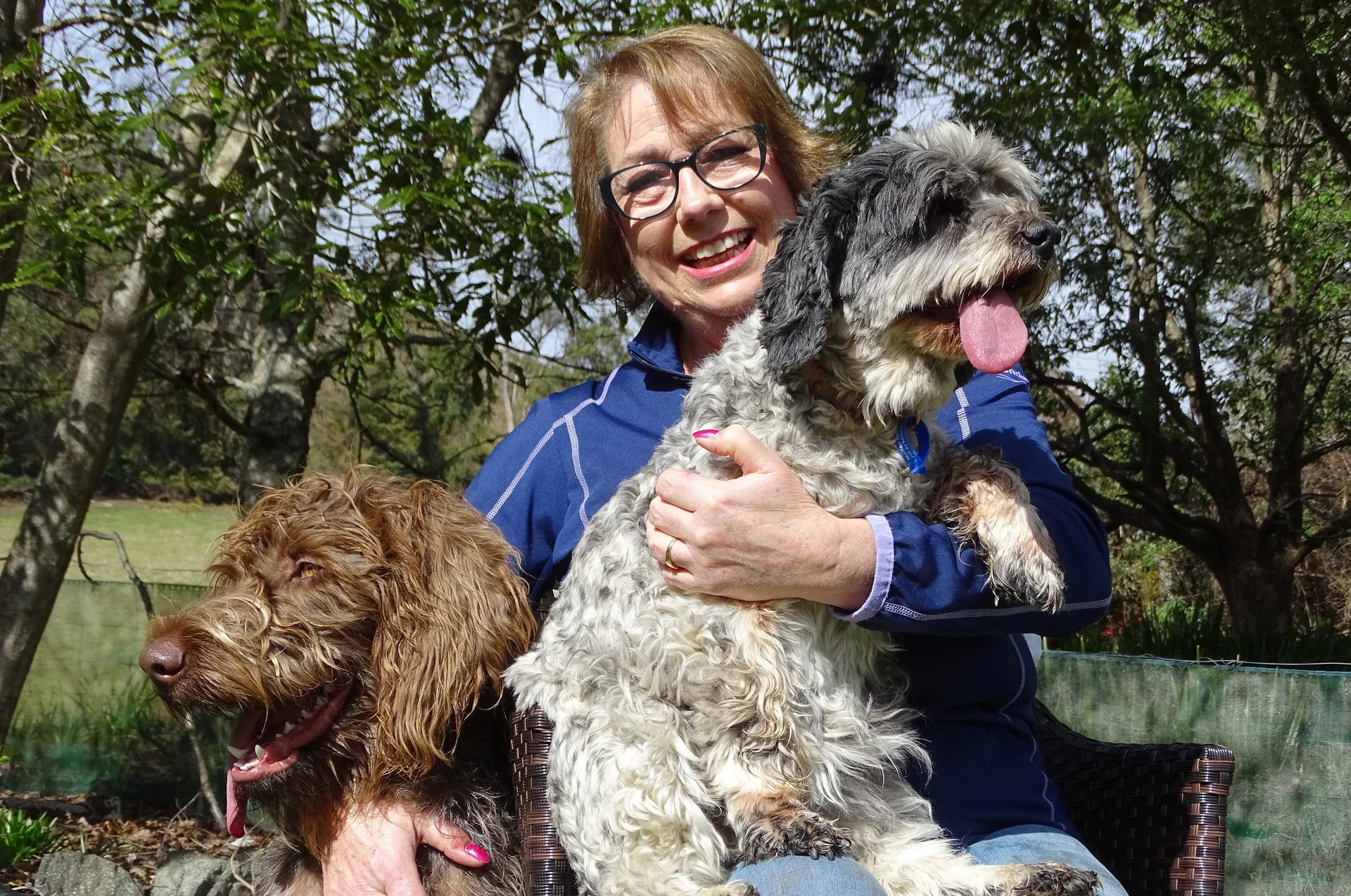 Charity brings puppies south to rehome